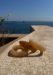 Load image into Gallery viewer, Beige Acrylic Bangle