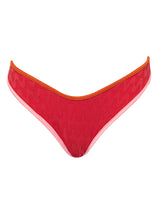 Load image into Gallery viewer, Apple Red Splendour Regular Rise Thin Side Bikini Bottom
