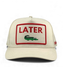 Load image into Gallery viewer, Airplane Mode Trucker
