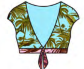 Tie Front Cap Sleeve Crop Top