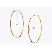 Load image into Gallery viewer, Hula Oval Hoops
